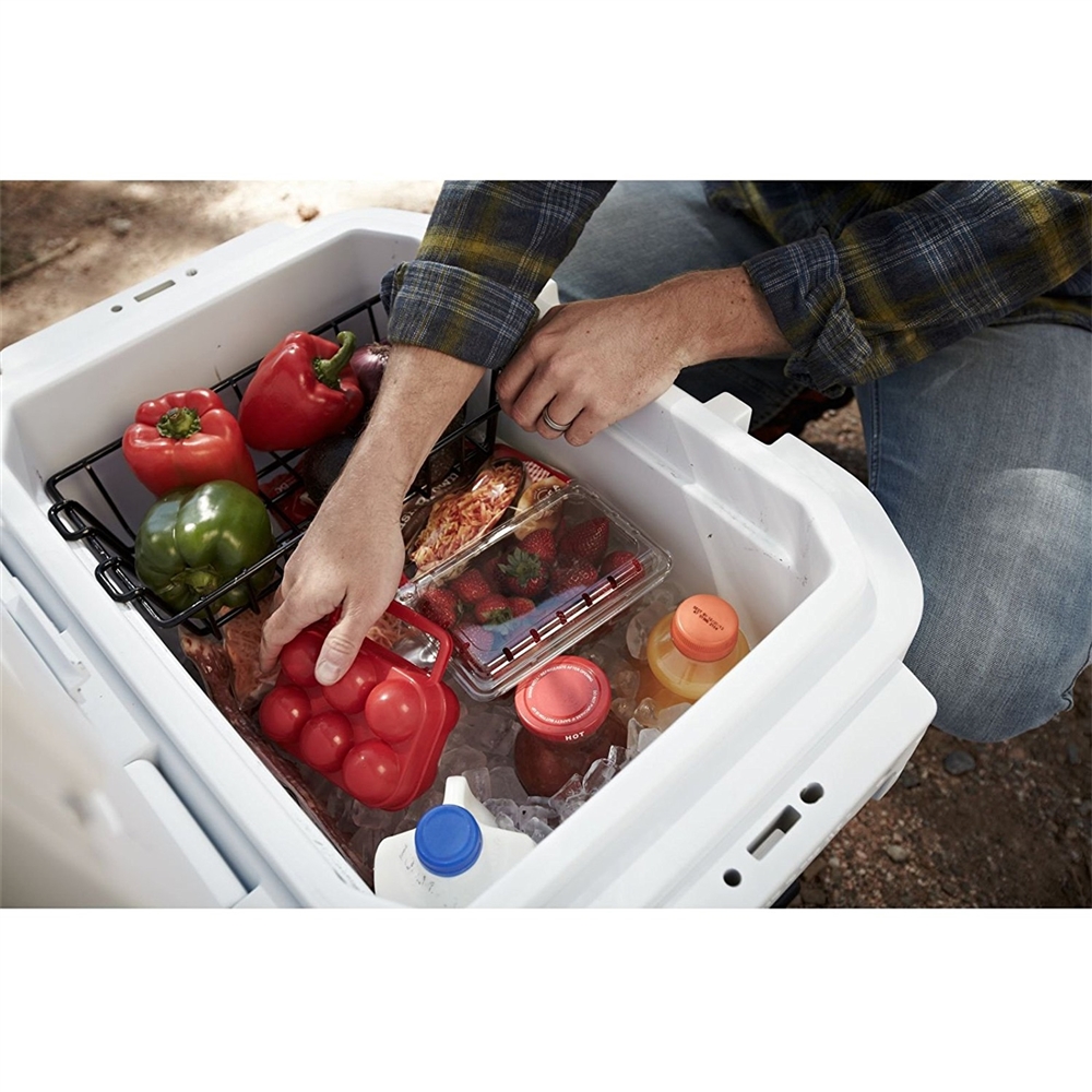 Esky fashion 55 cooler