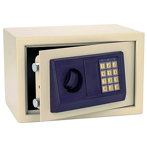 Electronic Digital Safe