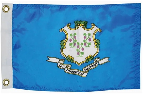 Taylor Made 93094 Connecticut State Flag - 12" x 18"