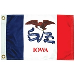 Taylor Made Iowa State Flag - 12" x 18"