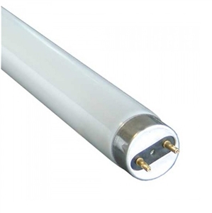 15W, 16" Cool White Fluorescent Tube